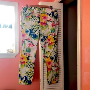 Tommy Bahama Womens Floral Jean Pants Size 14